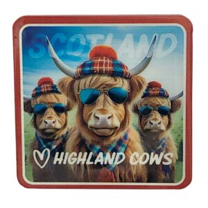 Cool Coos Epoxy Metal Magnet