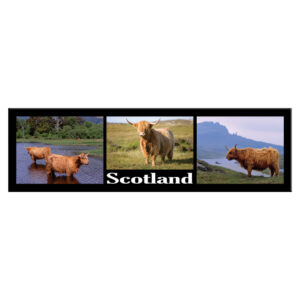 Coos Long Montage Scenic Metallic Magnet