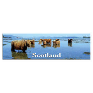Coos Scotland Long Scenic Metallic Magnet