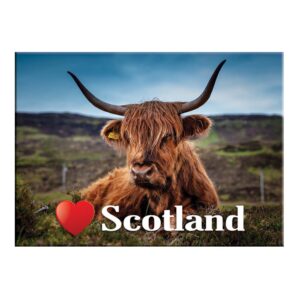 Coos Scotland 2 Scenic Metallic Magnet