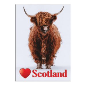 Coos Scotland 3 Scenic Metallic Magnet