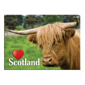 Coos Scotland 4 Scenic Metallic Magnet